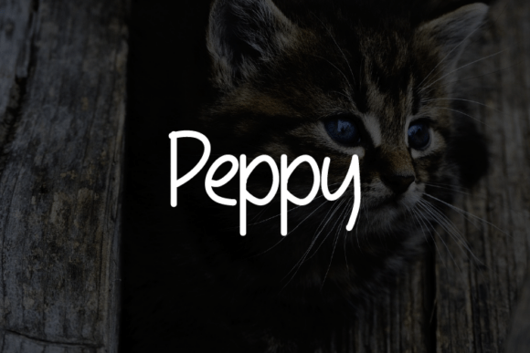 Peppy: A Versatile Font for Modern Web Design