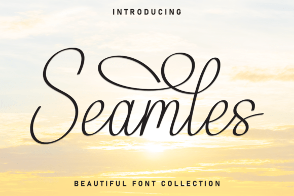 Seamles: A Delightful Script Font for Editorial Design